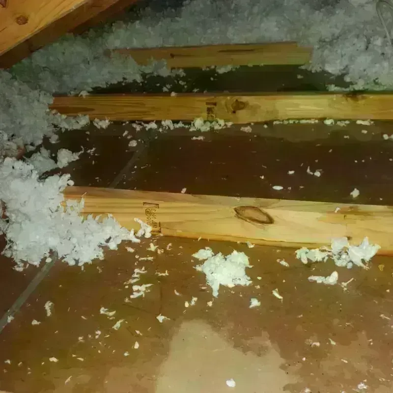 Attic Water Damage in Ethete, WY