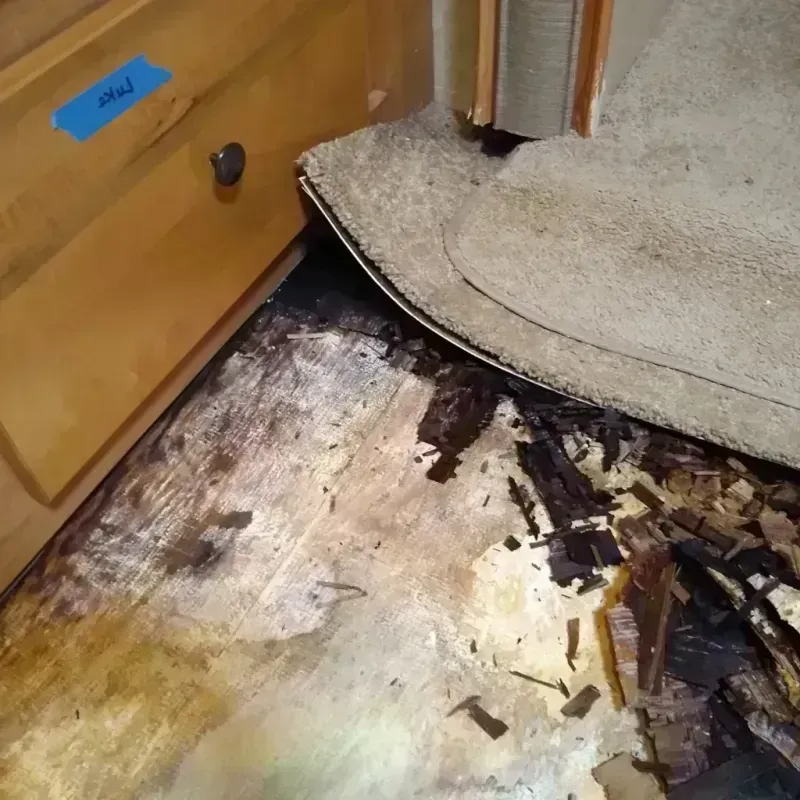 Wood Floor Water Damage in Ethete, WY